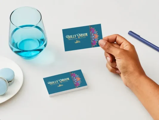 Mockups webaltix - 1200x900 - CDV Bollymoun (2)